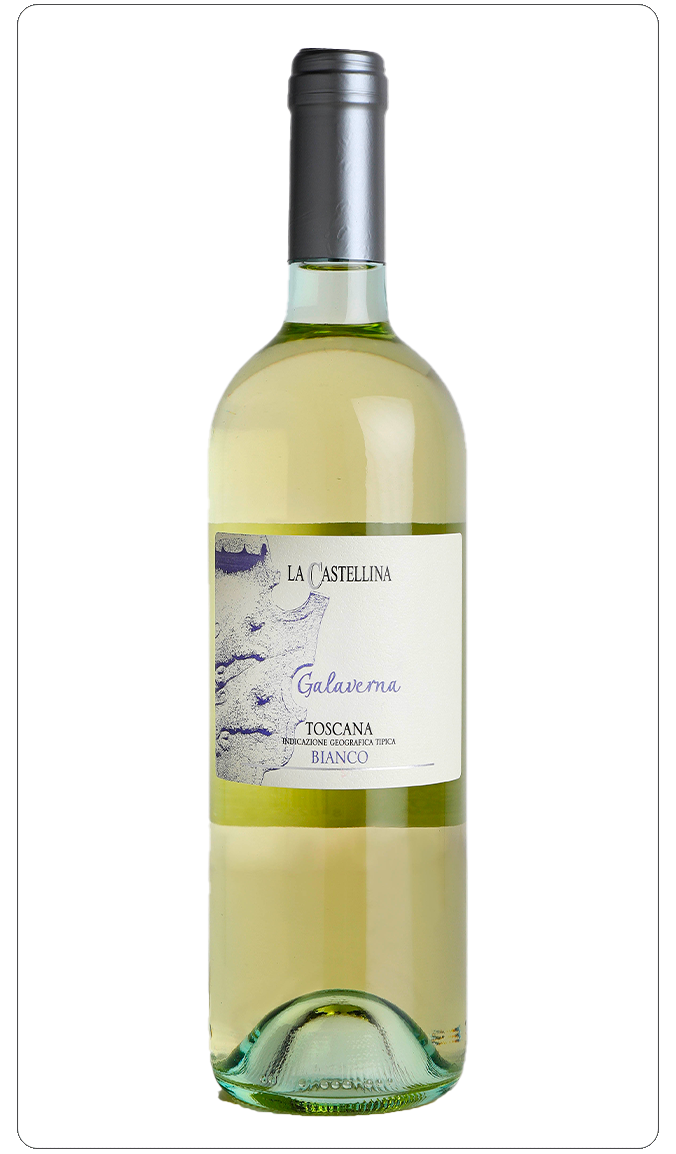 La Castellina in Chianti vino bianco Galaverna Toskana